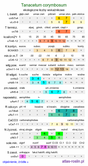 ekologiczne liczby wskaźnikowe Tanacetum corymbosum (wrotycz baldachogroniasty)
