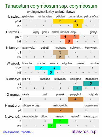 ekologiczne liczby wskaźnikowe Tanacetum corymbosum ssp. corymbosum (wrotycz baldachogroniasty typowy)