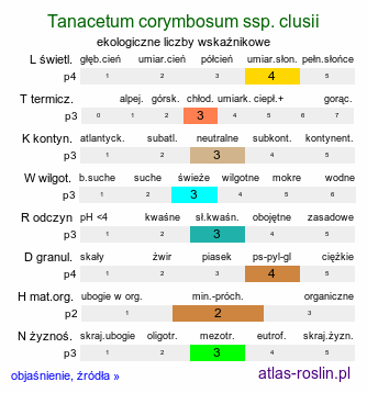 ekologiczne liczby wskaźnikowe Tanacetum corymbosum ssp. clusii (wrotycz baldachogroniasty Kluzjusza)