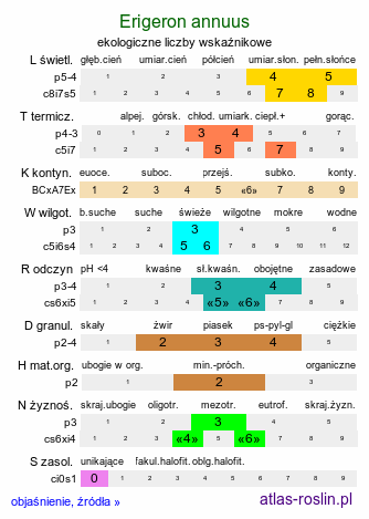 ekologiczne liczby wskaźnikowe Erigeron annuus (przymiotno białe)