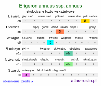 ekologiczne liczby wskaźnikowe Erigeron annuus ssp. annuus (przymiotno białe typowe)