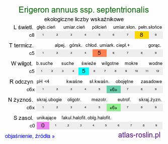 ekologiczne liczby wskaźnikowe Erigeron annuus ssp. septentrionalis (przymiotno białe północne)