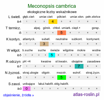 ekologiczne liczby wskaźnikowe Meconopsis cambrica (mekonops walijski)