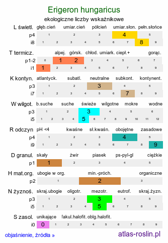ekologiczne liczby wskaźnikowe Erigeron hungaricus (przymiotno węgierskie)