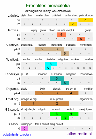 ekologiczne liczby wskaźnikowe Erechtites hieracifolia (erechtites jastrzębcowaty)