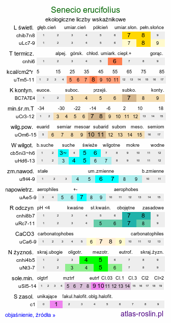 ekologiczne liczby wskaźnikowe Senecio erucifolius (starzec srebrzysty)
