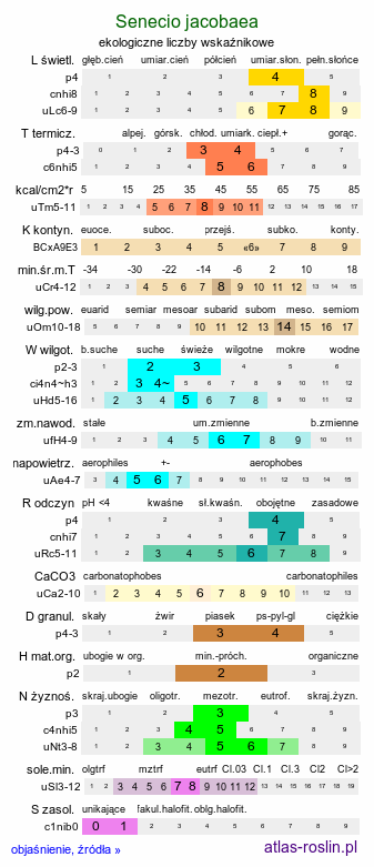 ekologiczne liczby wskaźnikowe Senecio jacobaea (starzec jakubek)