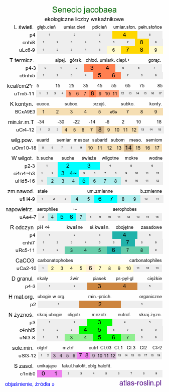 ekologiczne liczby wskaźnikowe Senecio jacobaea (starzec jakubek)