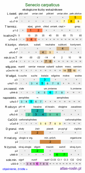ekologiczne liczby wskaźnikowe Senecio carpaticus (starzec karpacki)