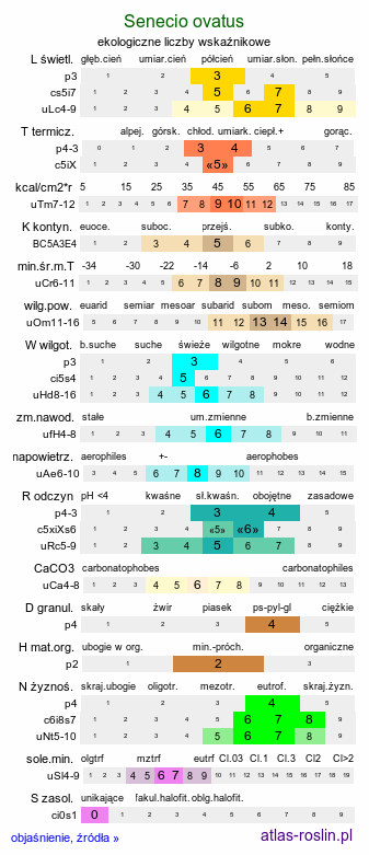 ekologiczne liczby wskaźnikowe Senecio ovatus (starzec jajowaty)