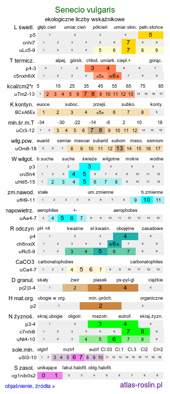 ekologiczne liczby wskaźnikowe Senecio vulgaris (starzec zwyczajny)