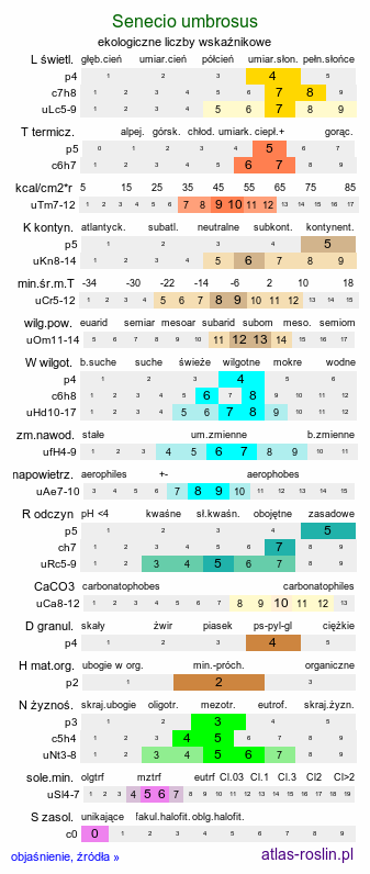 ekologiczne liczby wskaźnikowe Senecio umbrosus (starzec cienisty)