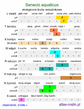 ekologiczne liczby wskaźnikowe Senecio aquaticus (starzec wodny)