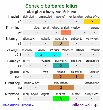 ekologiczne liczby wskaźnikowe Senecio barbaraeifolius (starzec gorczycznikowy)