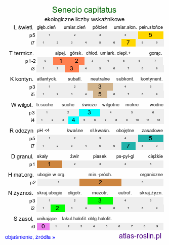 ekologiczne liczby wskaźnikowe Senecio capitatus (starzec główkowaty)