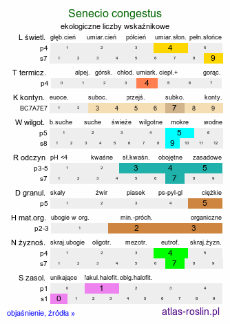 ekologiczne liczby wskaźnikowe Senecio congestus (starzec błotny)