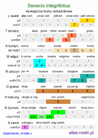 ekologiczne liczby wskaźnikowe Senecio integrifolius (starzec polny)