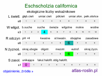 ekologiczne liczby wskaźnikowe Eschscholzia californica (pozłotka kalifornijska)