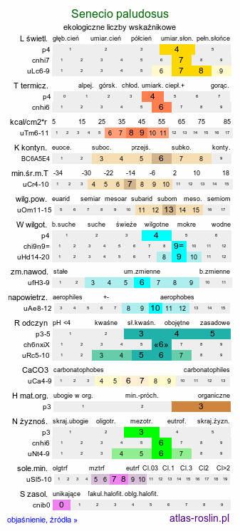 ekologiczne liczby wskaźnikowe Senecio paludosus (starzec bagienny)