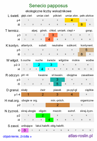 ekologiczne liczby wskaźnikowe Senecio papposus (starzec długolistny)