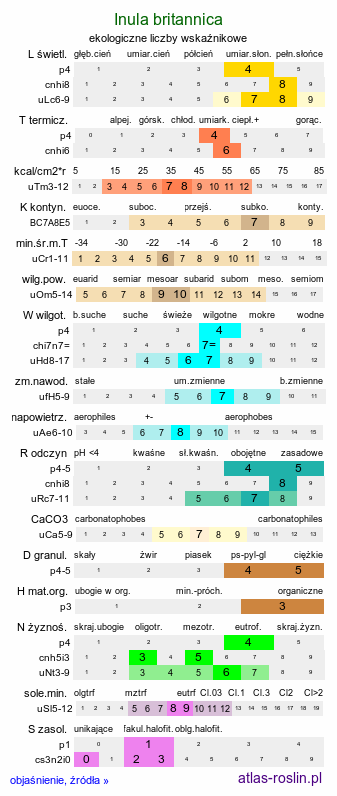 ekologiczne liczby wskaźnikowe Inula britannica (oman łąkowy)