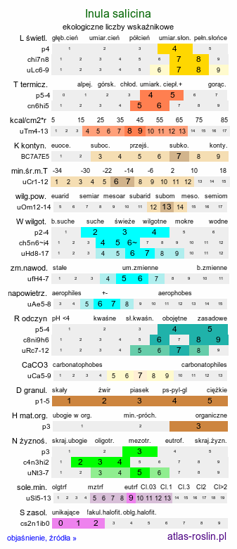 ekologiczne liczby wskaźnikowe Inula salicina (oman wierzbolistny)