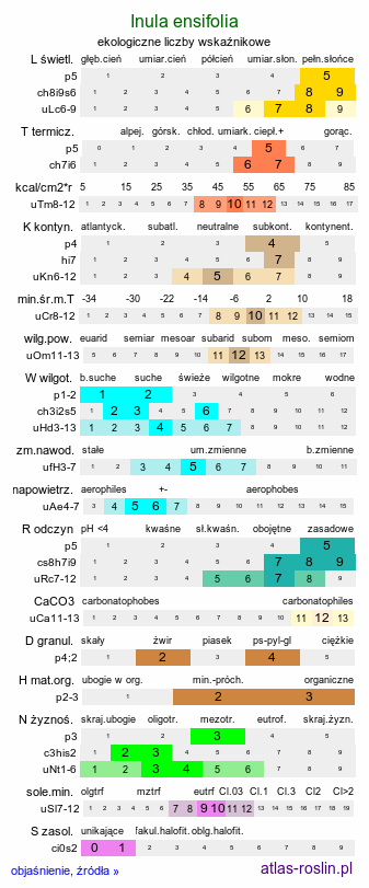 ekologiczne liczby wskaźnikowe Inula ensifolia (oman wąskolistny)