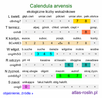 ekologiczne liczby wskaźnikowe Calendula arvensis (nagietek polny)