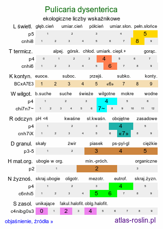 ekologiczne liczby wskaźnikowe Pulicaria dysenterica (płesznik czerwonkowy)