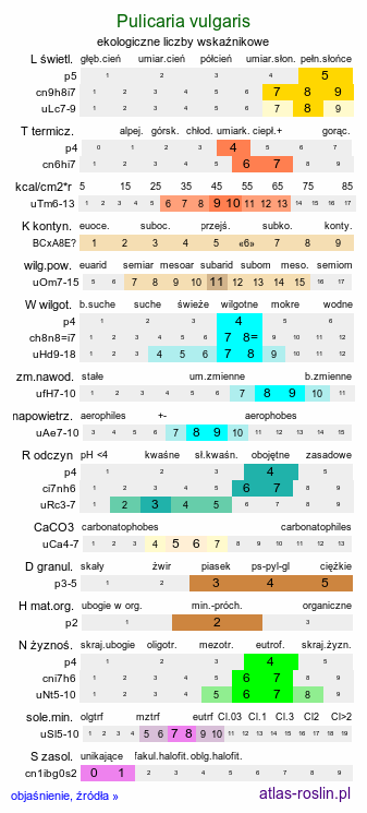 ekologiczne liczby wskaźnikowe Pulicaria vulgaris (płesznik zwyczajny)