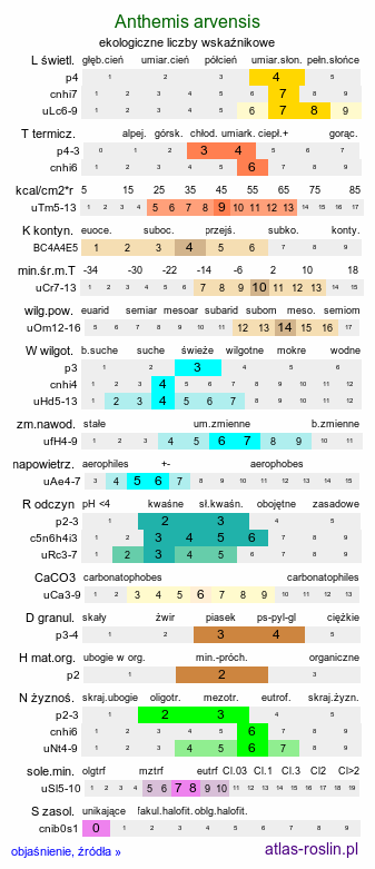 ekologiczne liczby wskaźnikowe Anthemis arvensis (rumian polny)