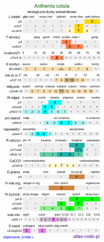 ekologiczne liczby wskaźnikowe Anthemis cotula (rumian psi)