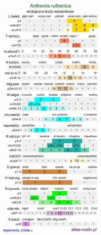 ekologiczne liczby wskaźnikowe Anthemis ruthenica (rumian ruski)
