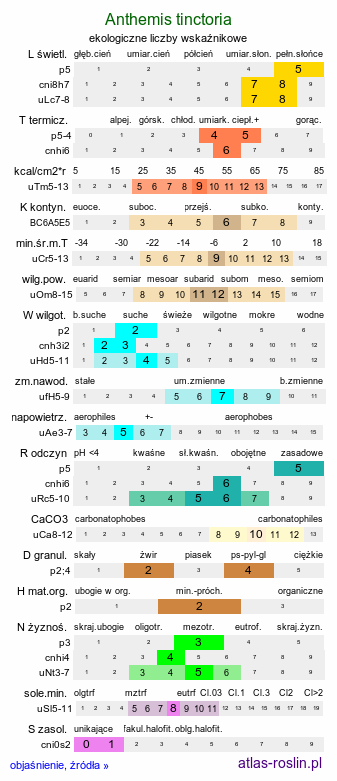 ekologiczne liczby wskaźnikowe Anthemis tinctoria (rumian żółty)