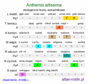 ekologiczne liczby wskaźnikowe Anthemis altissima (rumian wysoki)