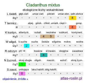 ekologiczne liczby wskaźnikowe Cladanthus mixtus (rumian dwubarwny)