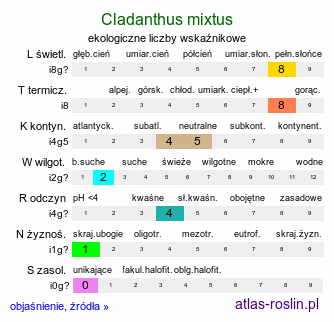 ekologiczne liczby wskaźnikowe Cladanthus mixtus (rumian dwubarwny)