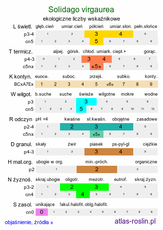 ekologiczne liczby wskaźnikowe Solidago virgaurea s.str. (nawłoć pospolita)
