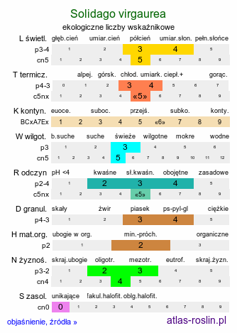 ekologiczne liczby wskaźnikowe Solidago virgaurea (nawłoć pospolita)