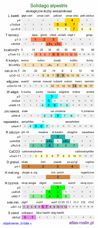 ekologiczne liczby wskaźnikowe Solidago alpestris (nawłoć alpejska)