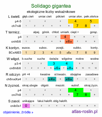 ekologiczne liczby wskaźnikowe Solidago gigantea (nawłoć późna)