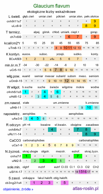 ekologiczne liczby wskaźnikowe Glaucium flavum (siwiec żółty)