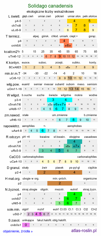ekologiczne liczby wskaźnikowe Solidago canadensis (nawłoć kanadyjska)