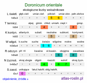 ekologiczne liczby wskaźnikowe Doronicum orientale (omieg wschodni)