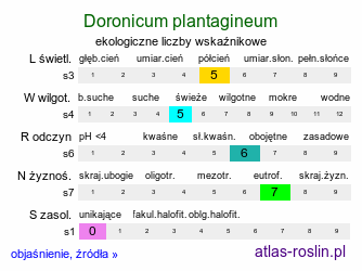 ekologiczne liczby wskaźnikowe Doronicum plantagineum (omieg babkolistny)