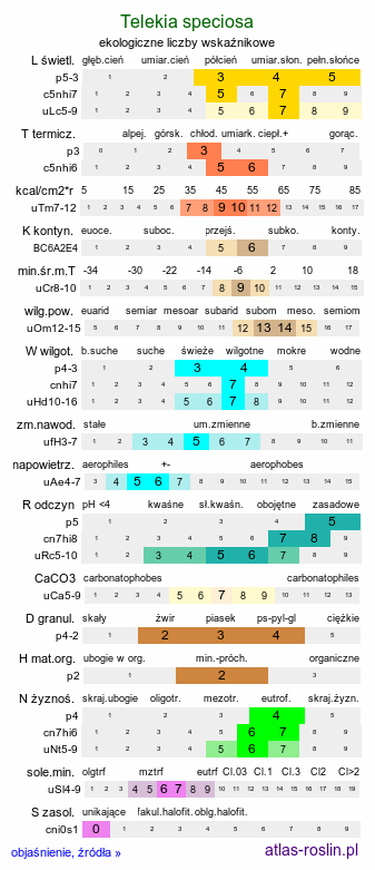 ekologiczne liczby wskaźnikowe Telekia speciosa (smotrawa okazała)