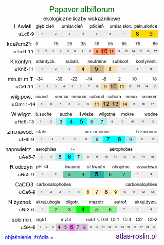 ekologiczne liczby wskaźnikowe Papaver albiflorum