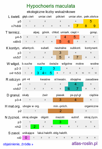 ekologiczne liczby wskaźnikowe Hypochaeris maculata (prosienicznik plamisty)