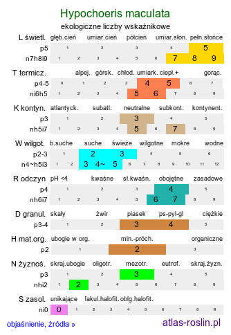 ekologiczne liczby wskaźnikowe Hypochoeris maculata (prosienicznik plamisty)