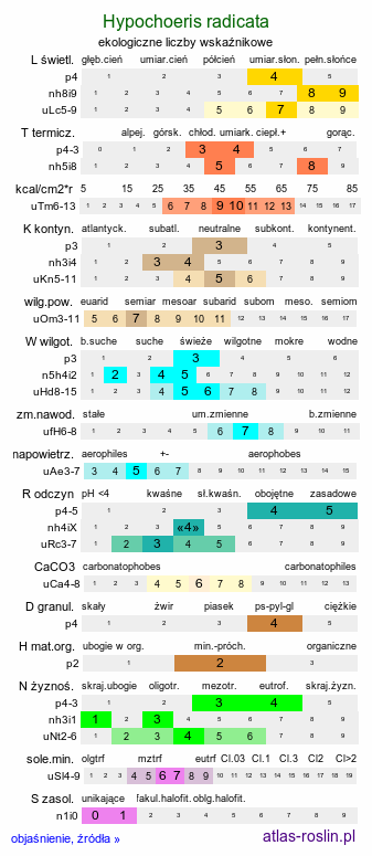 ekologiczne liczby wskaźnikowe Hypochoeris radicata (prosienicznik szorstki)